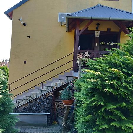 Anna Ilona Vendeghaz Hotel Badacsonytomaj Bagian luar foto