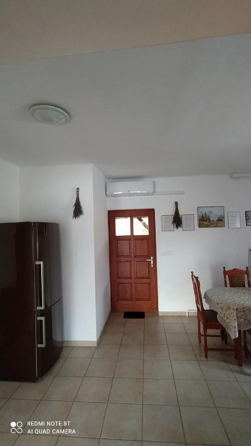 Anna Ilona Vendeghaz Hotel Badacsonytomaj Bagian luar foto