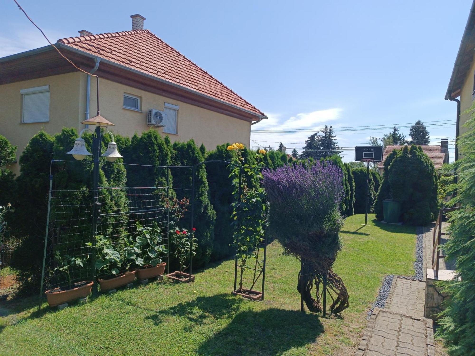 Anna Ilona Vendeghaz Hotel Badacsonytomaj Bagian luar foto