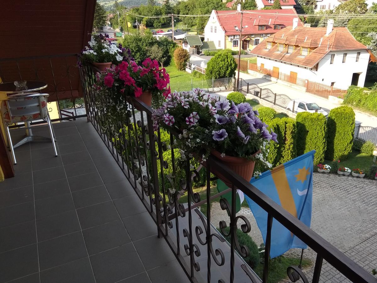 Anna Ilona Vendeghaz Hotel Badacsonytomaj Bagian luar foto