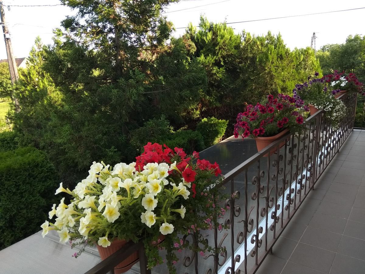 Anna Ilona Vendeghaz Hotel Badacsonytomaj Bagian luar foto